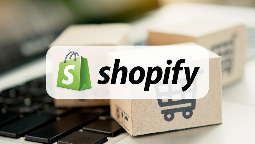 6516e46180ff8535bdcd4d48 the shopify marketplace