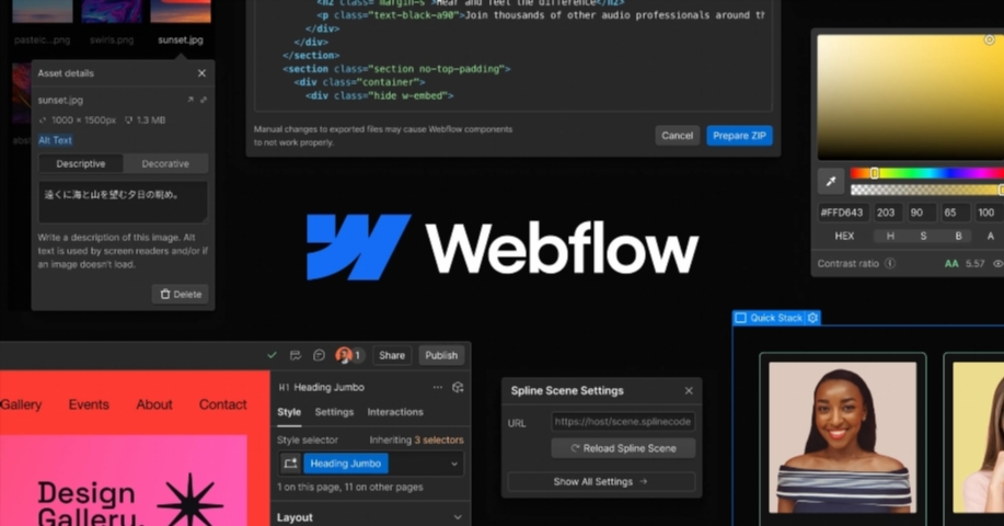 webflow elxdb